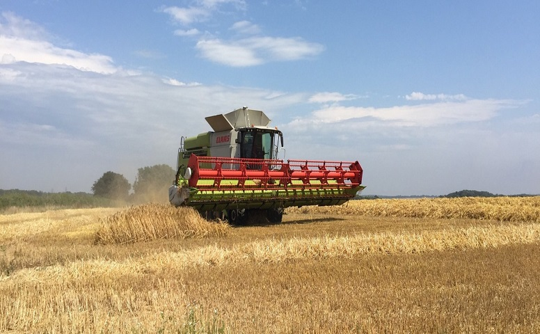 Hytera aide Wilcott à garder le top de la récolte