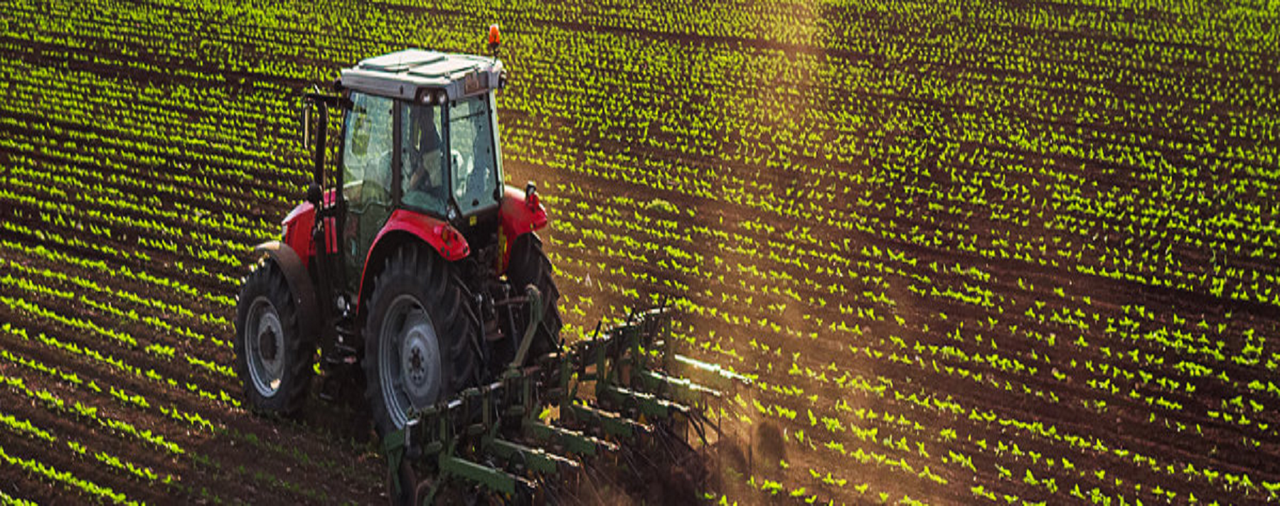 Hytera DMR two-way radio system solves wide area communications challenge at Courteenhall Farms