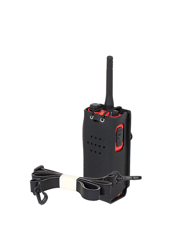 Intrinsically Safe Carrying Case